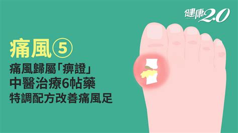 治尿酸痛風青草|健康網》痛風這樣吃！ 中醫揭5指南：多攝取2種營養素